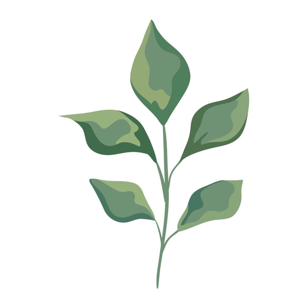 green branch with leafs vector