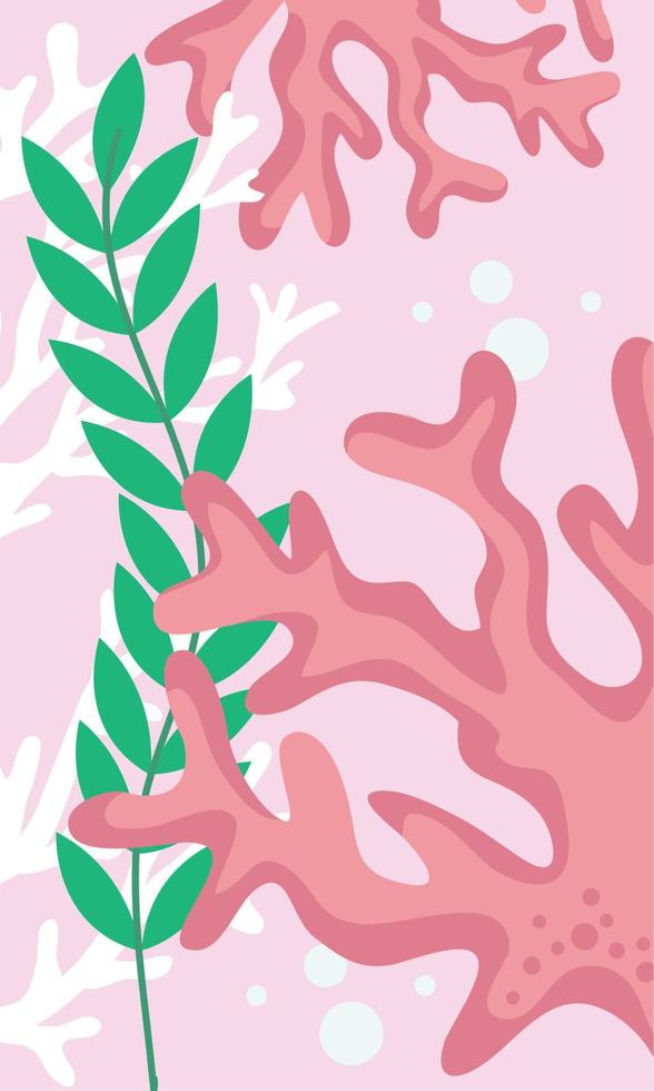 pink algae and seaweed vector