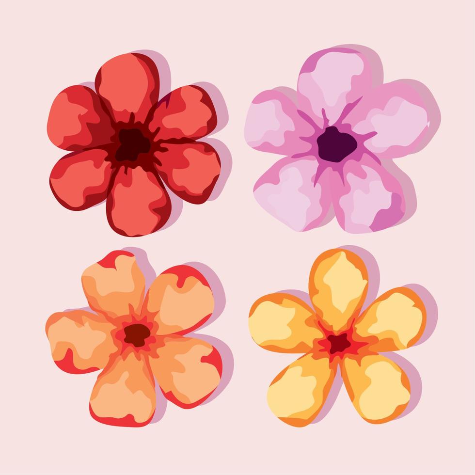 four spring flowers vector
