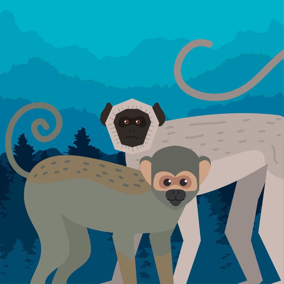 titi and spider monkeys vector