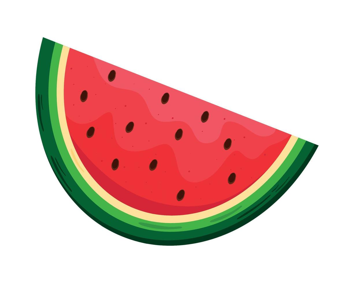 fresh watermelon fruit healthy vector