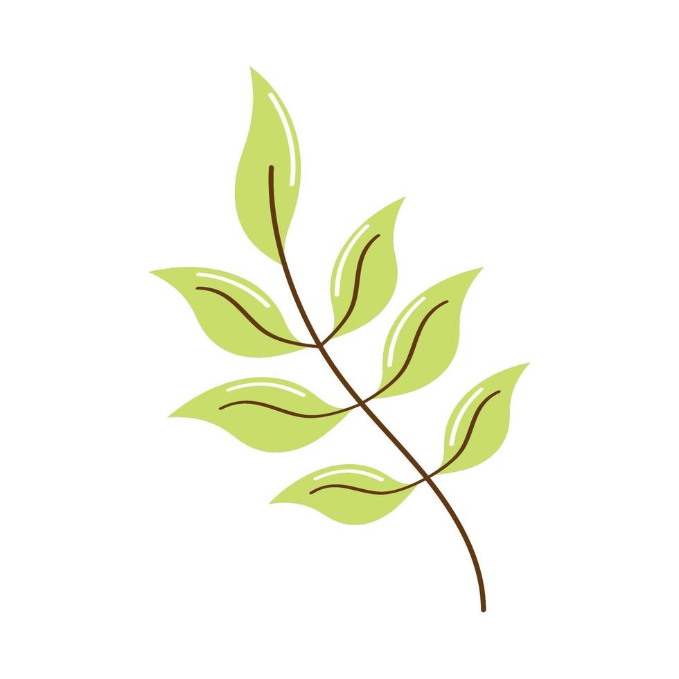 branch with leafs vector