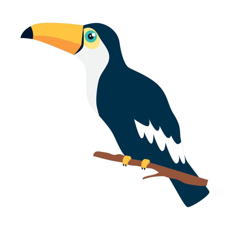 toucan exotic animal vector