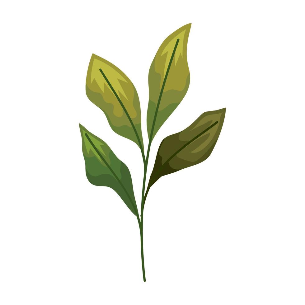 green spring leafs in branch vector