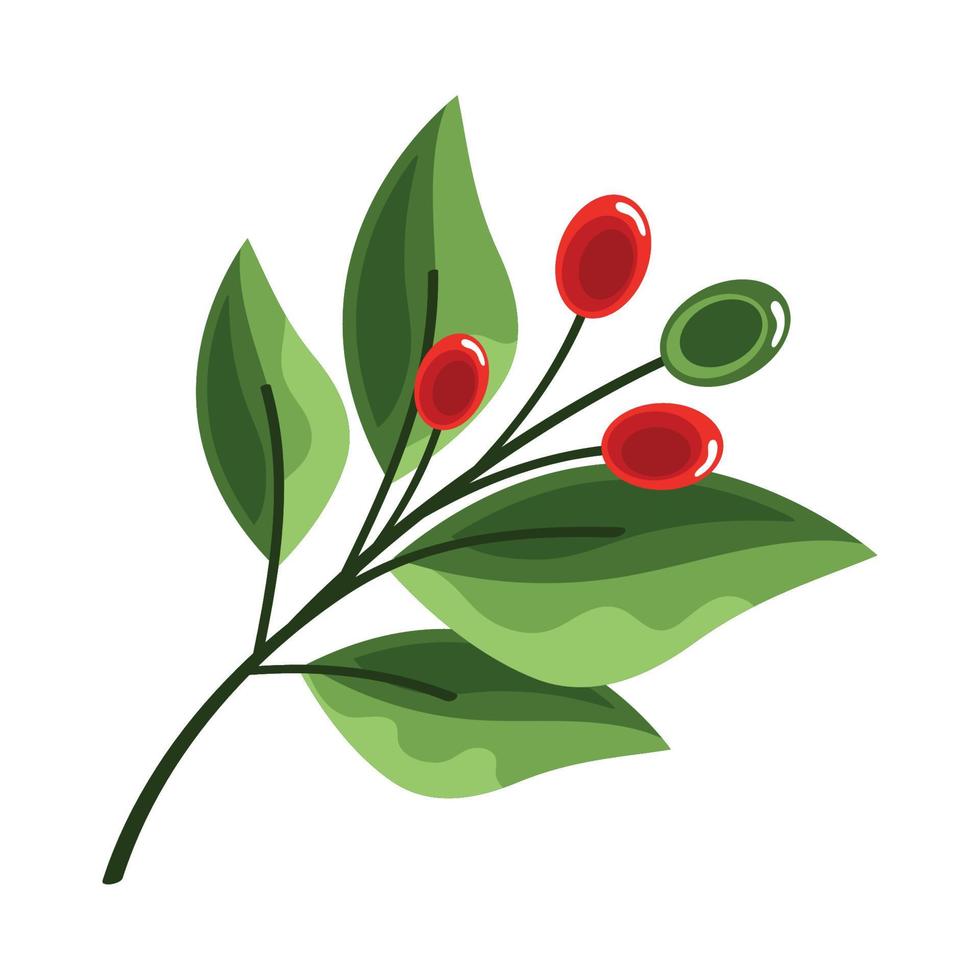 coffee plant with grains vector