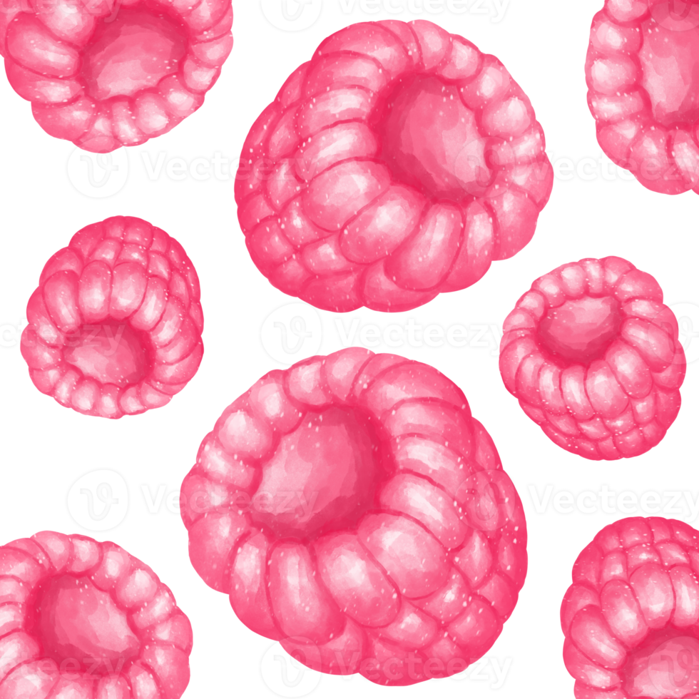 pattern of raspberry png
