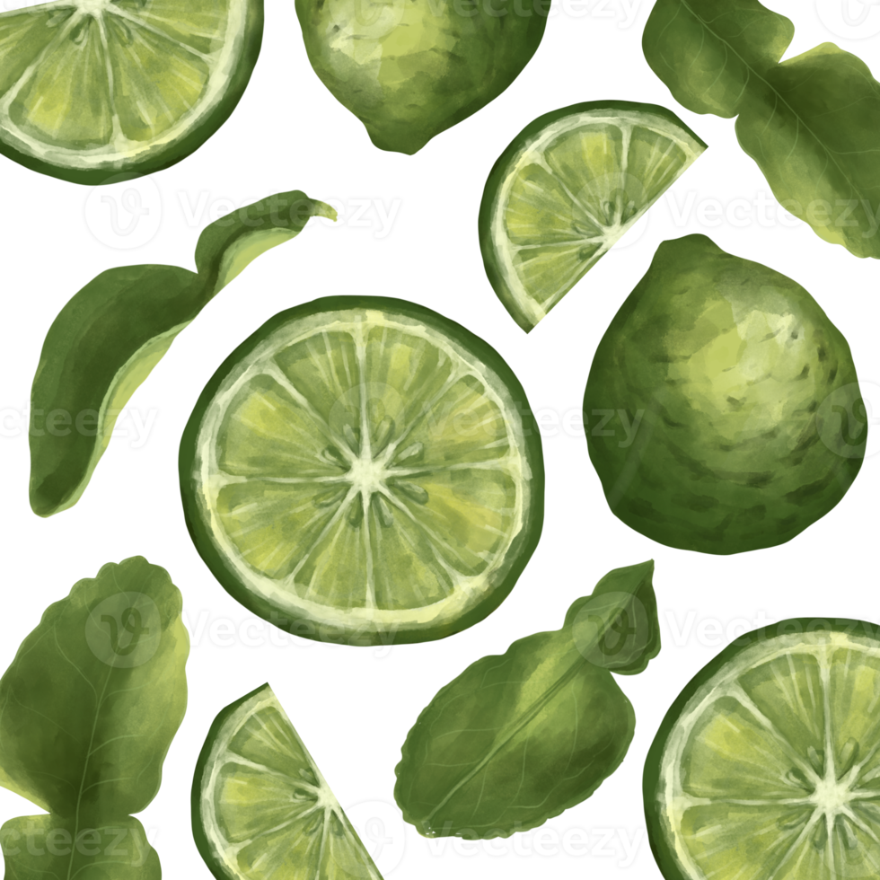 patroon van bergamot waterverf png