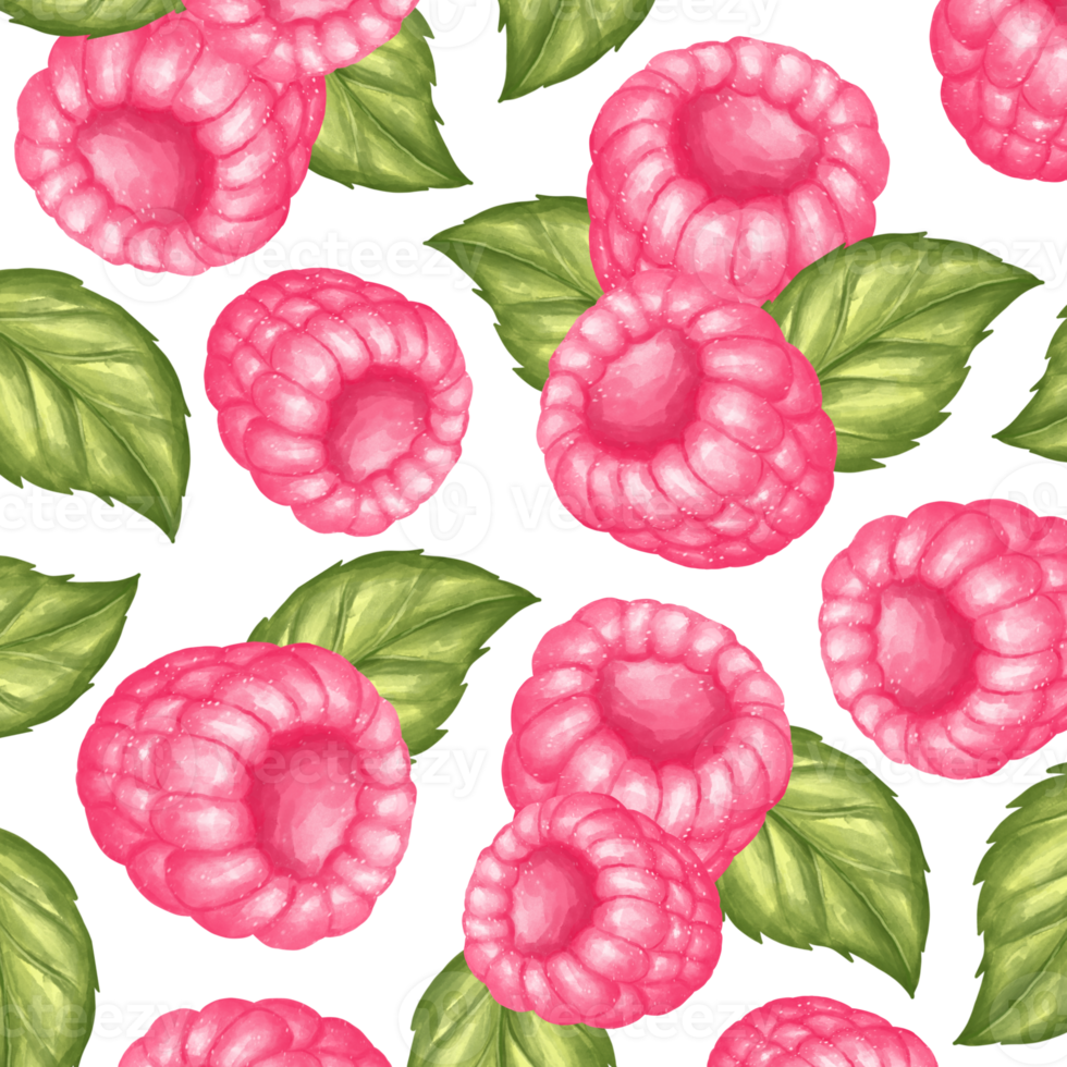 pattern of raspberry png
