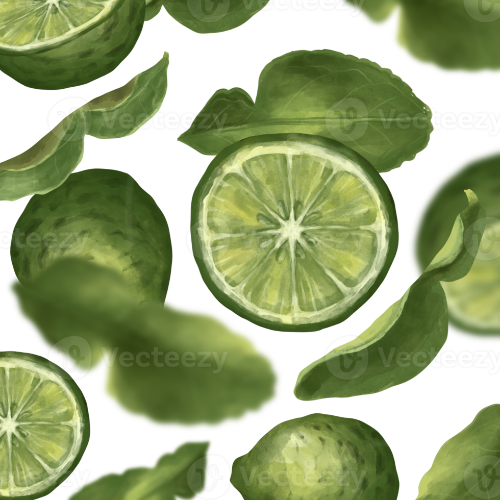 pattern of bergamot watercolour png