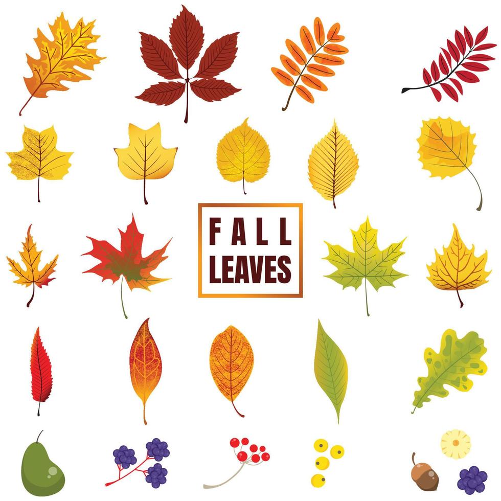 Fall leaves Icon set vector