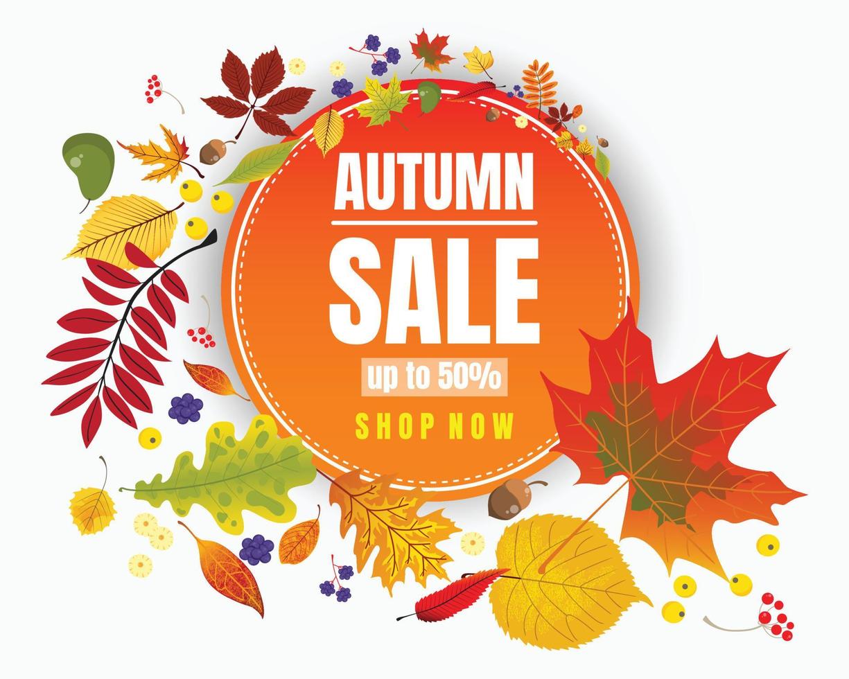 Autumn sale banner leaves spiral vector