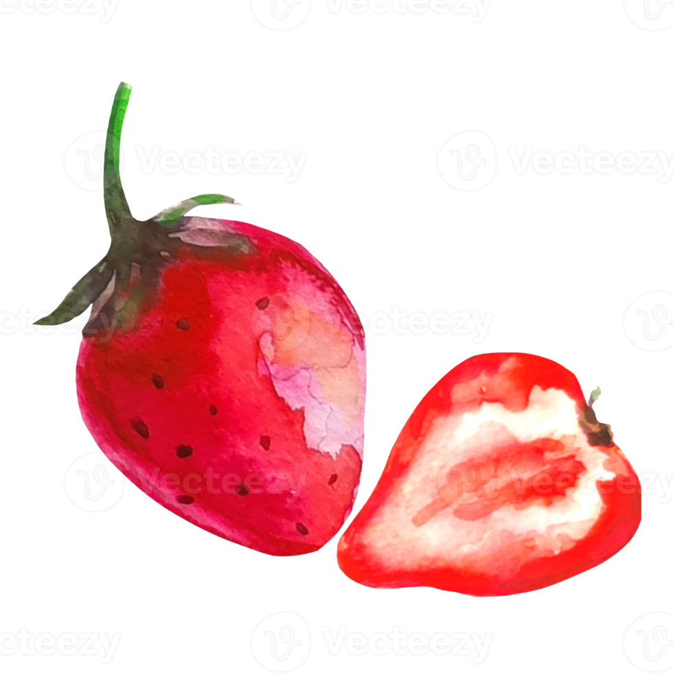 strawberry watercolor  illustration png