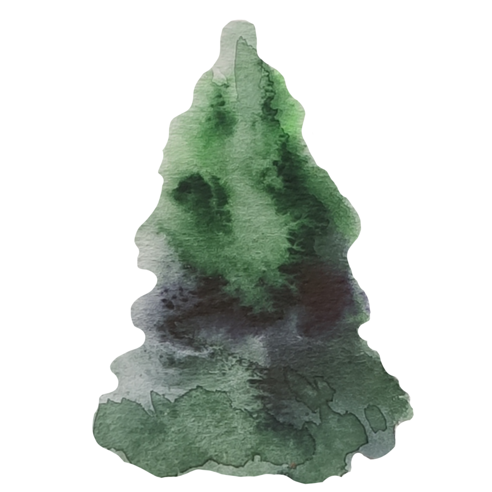 Christmas tree, pine watercolor illustration png