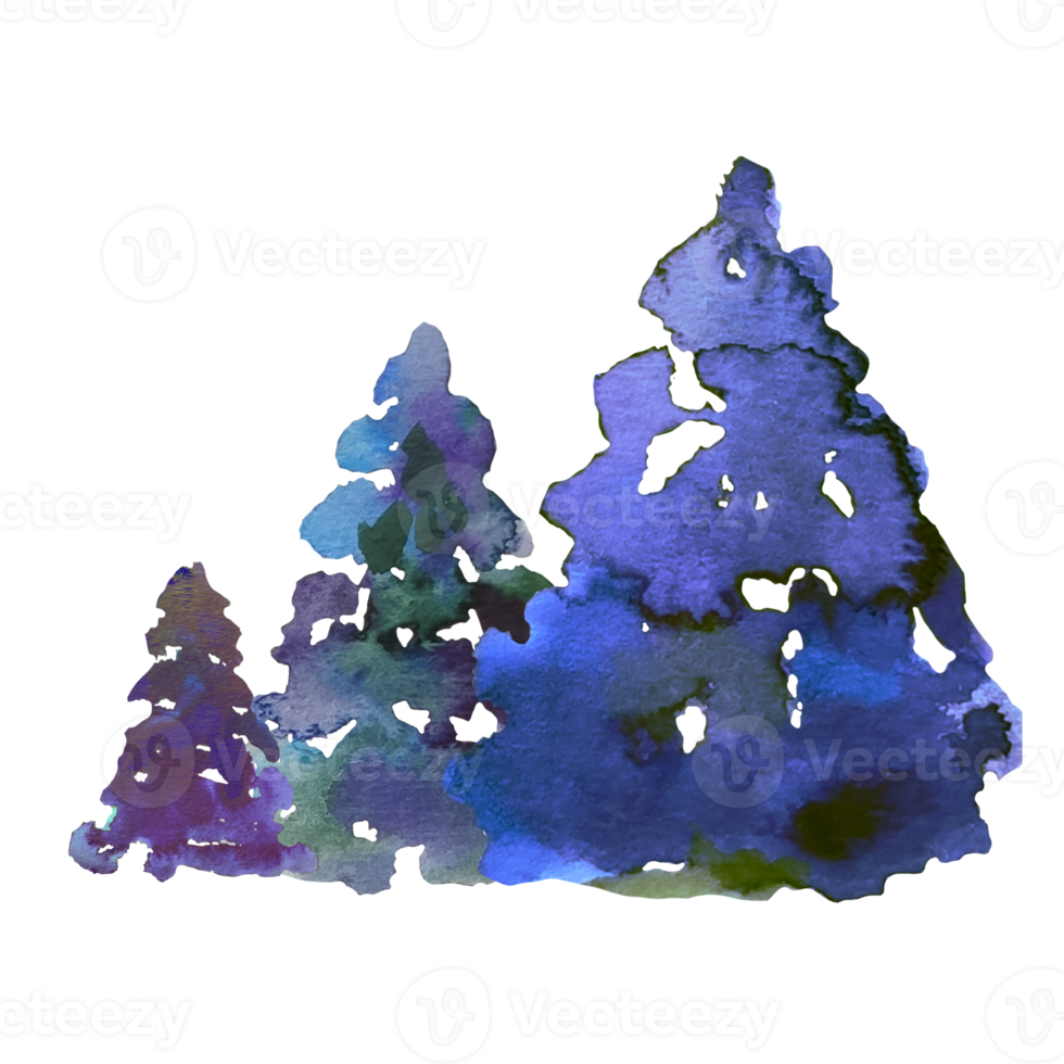 Christmas tree, pine watercolor illustration png