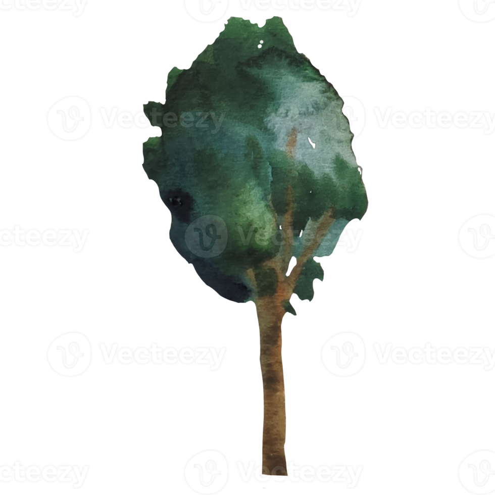 albero con foglie verdi acquerello illustrazione png