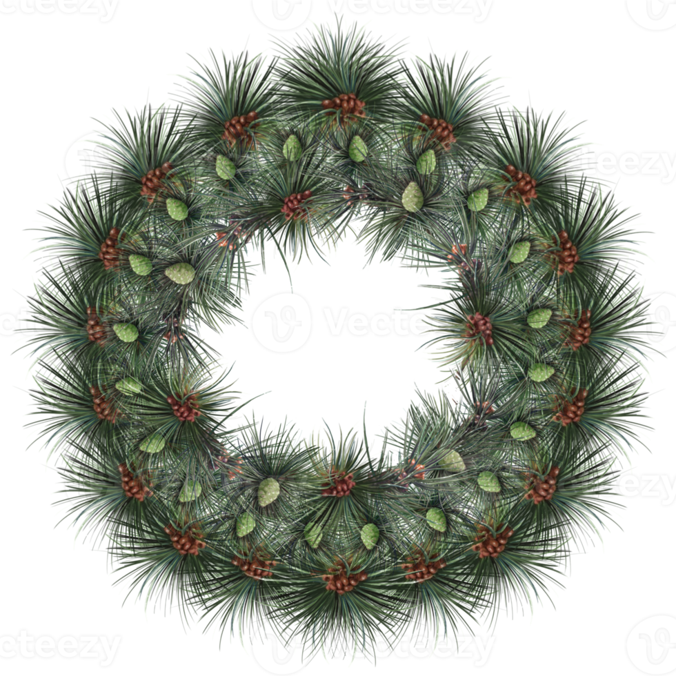 christmas wreath of pine branches and cones illustration png