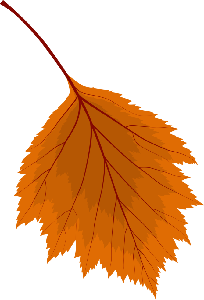 hojas caídas de naranja otoñal png