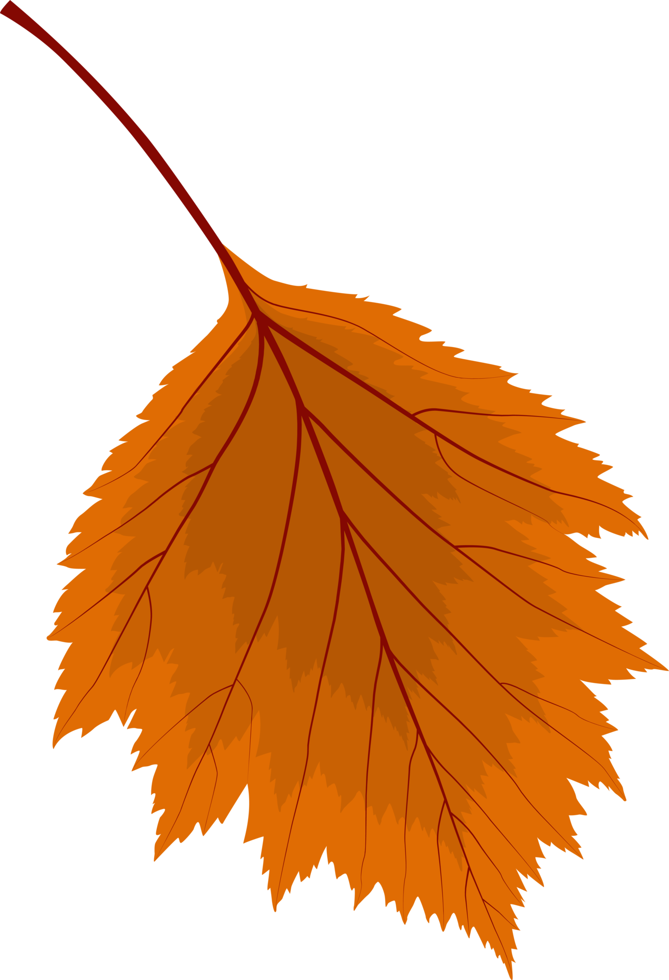 Autumn Orange Fallen Leaves 11380621 PNG