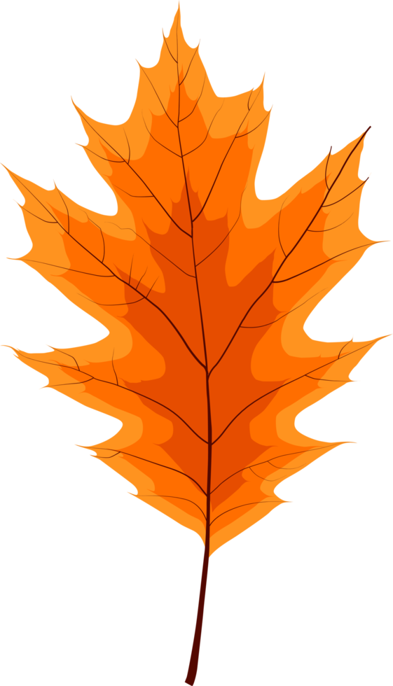 Orange Fall Leaf Clip Art