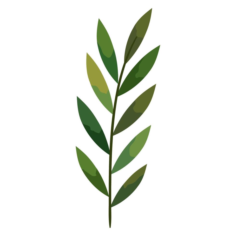 leaves in branch foliage vector