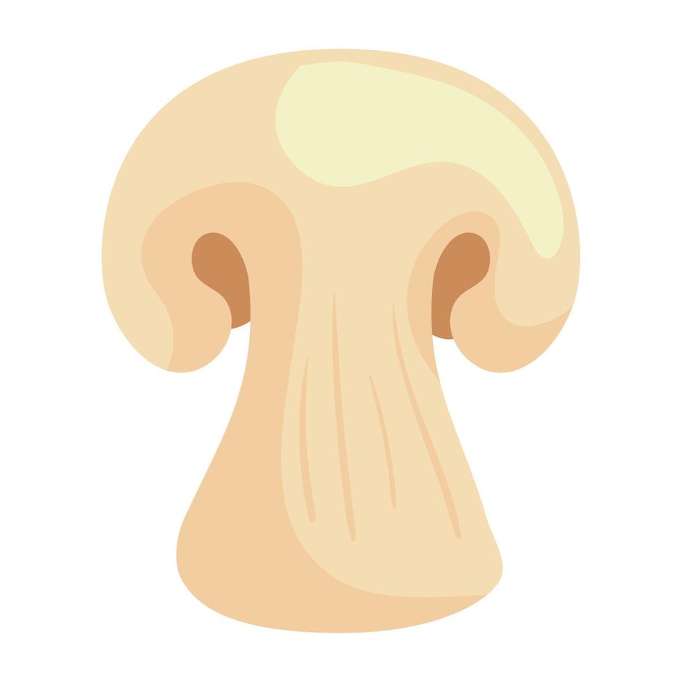 fresh mushroom vegetable vector