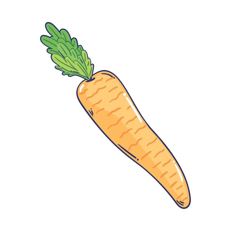carrot vegetable healthy food vector