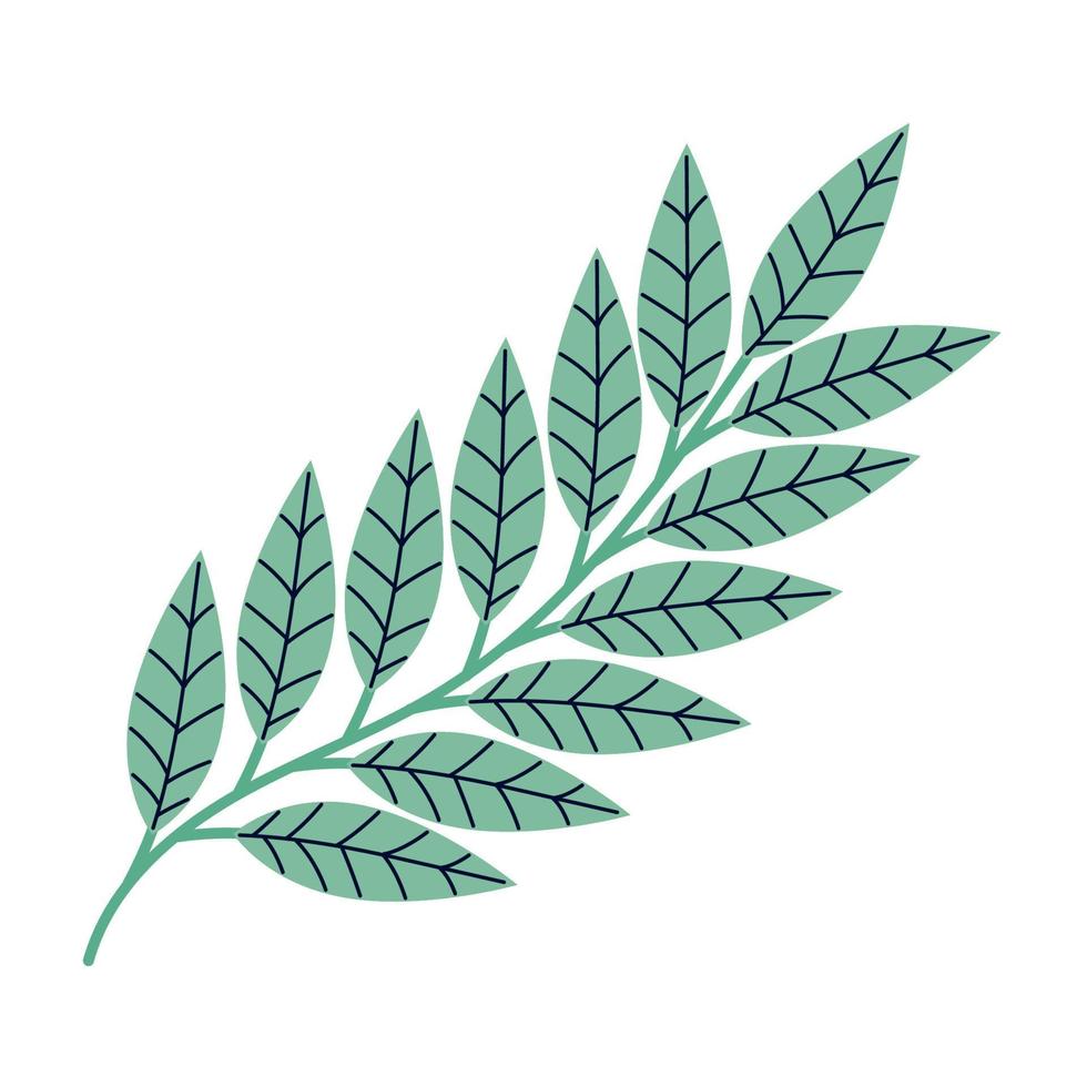 garden branch with leafs vector