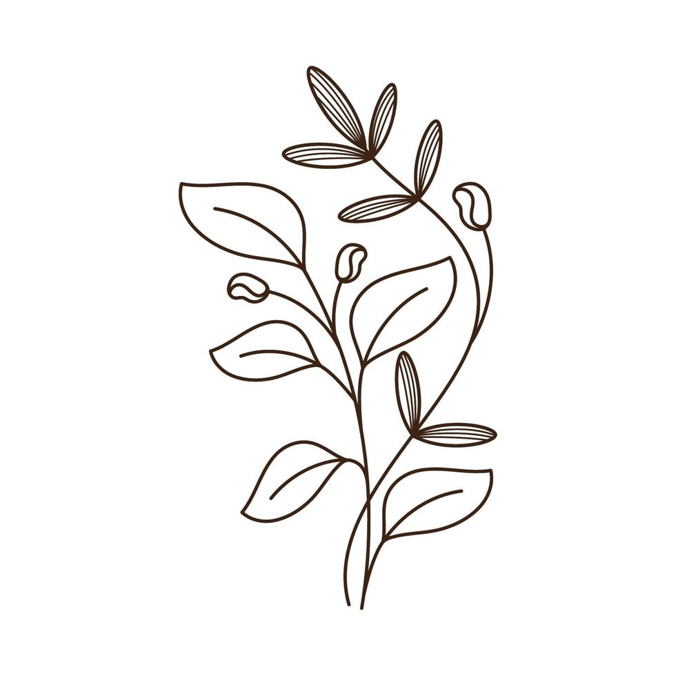 leafs plant foliage vector