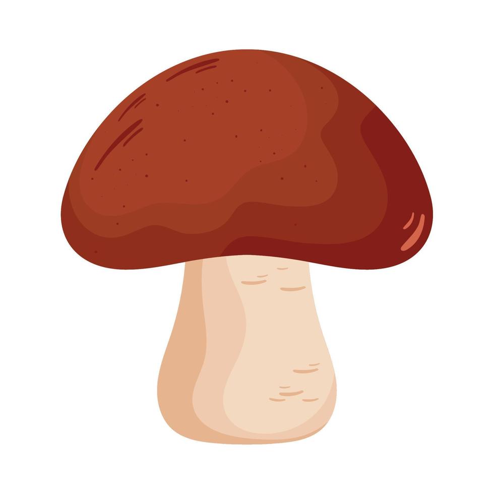 fresh mushroom vegetable vector