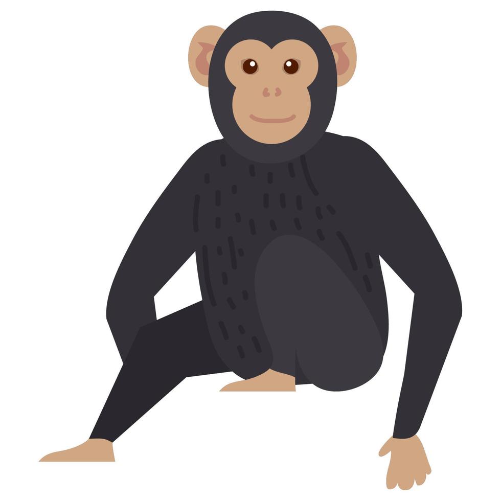 chimpancé mono animales vector