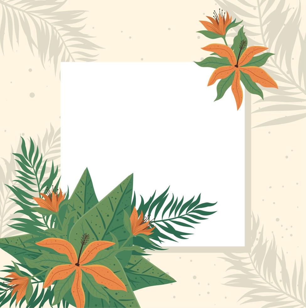 floral jungle square frame vector