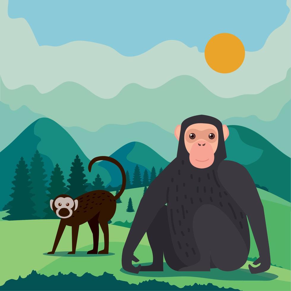 bonobo and macaque monkeys vector