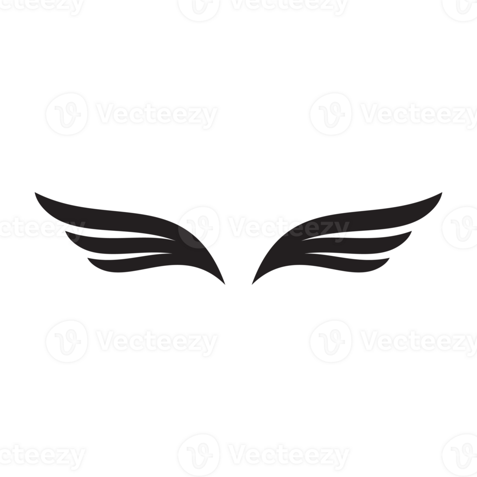 Flügelform für Symbol, Logo und Gestaltungselement png