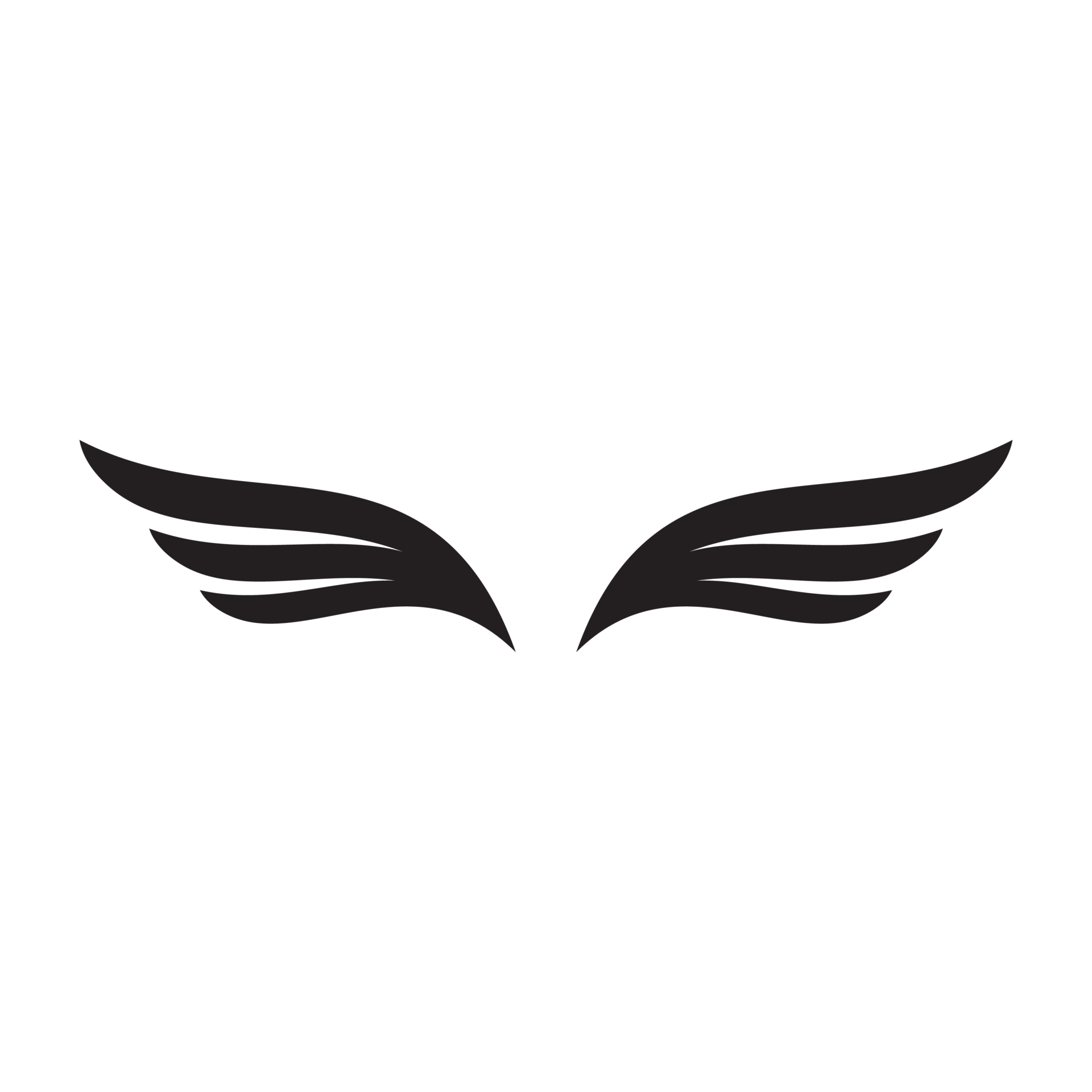 Wing shape for symbol, logo and design element 11381383 PNG