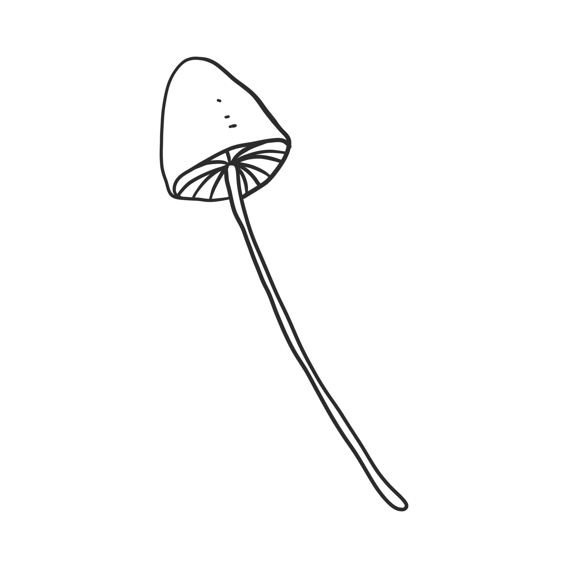Free hand drawn illustration of fungus. simple and minimal design for element decoration. pencil sketch drawing in graphic. 11381577 PNG with Transparent Background Free hand drawn illustration of fungus. simple and minimal design for element decoration. pencil sketch drawing in graphic. 11381577 PNG with Transparent Background