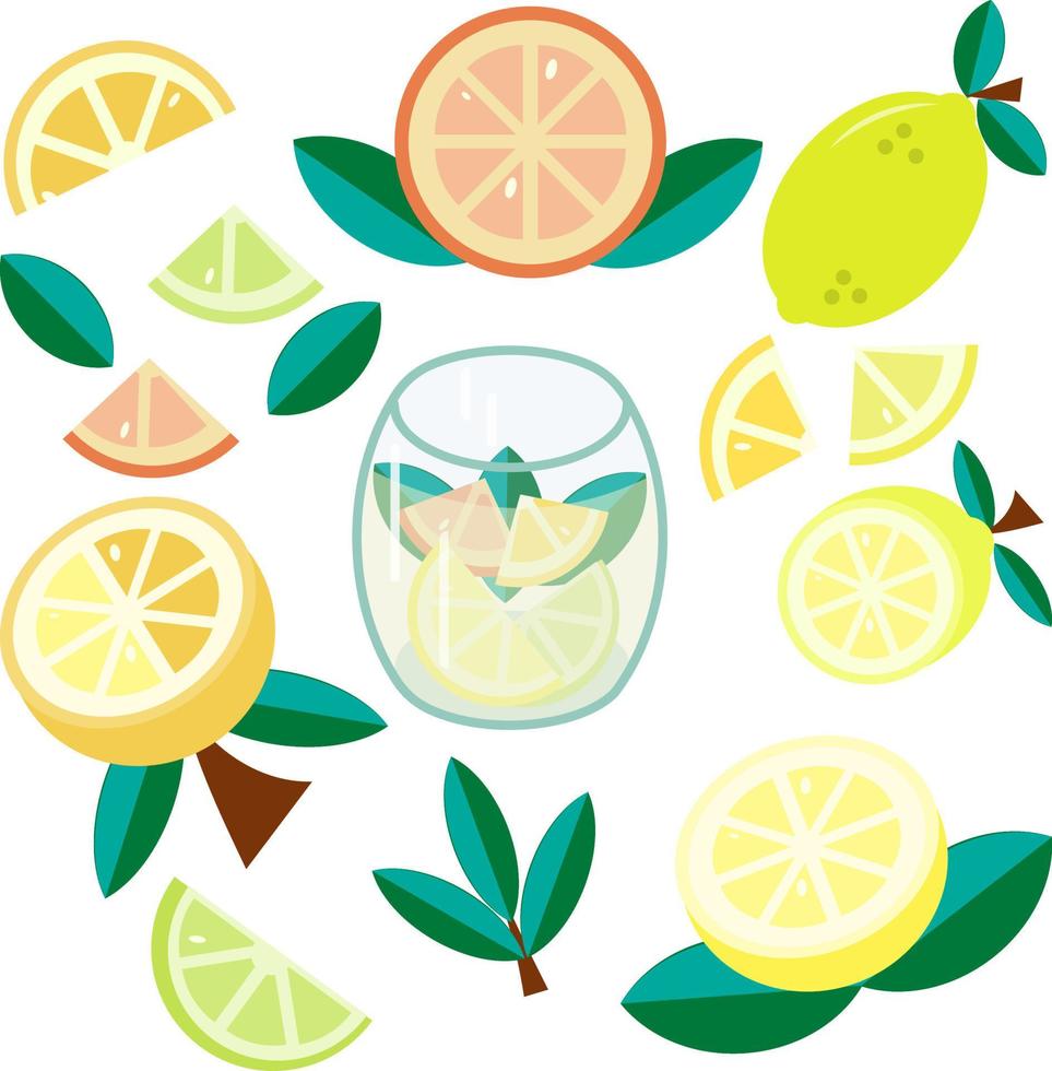 Citrus set. Orange, lemon, lime and grapefruit and a refreshing drink. Vector flat illustration.