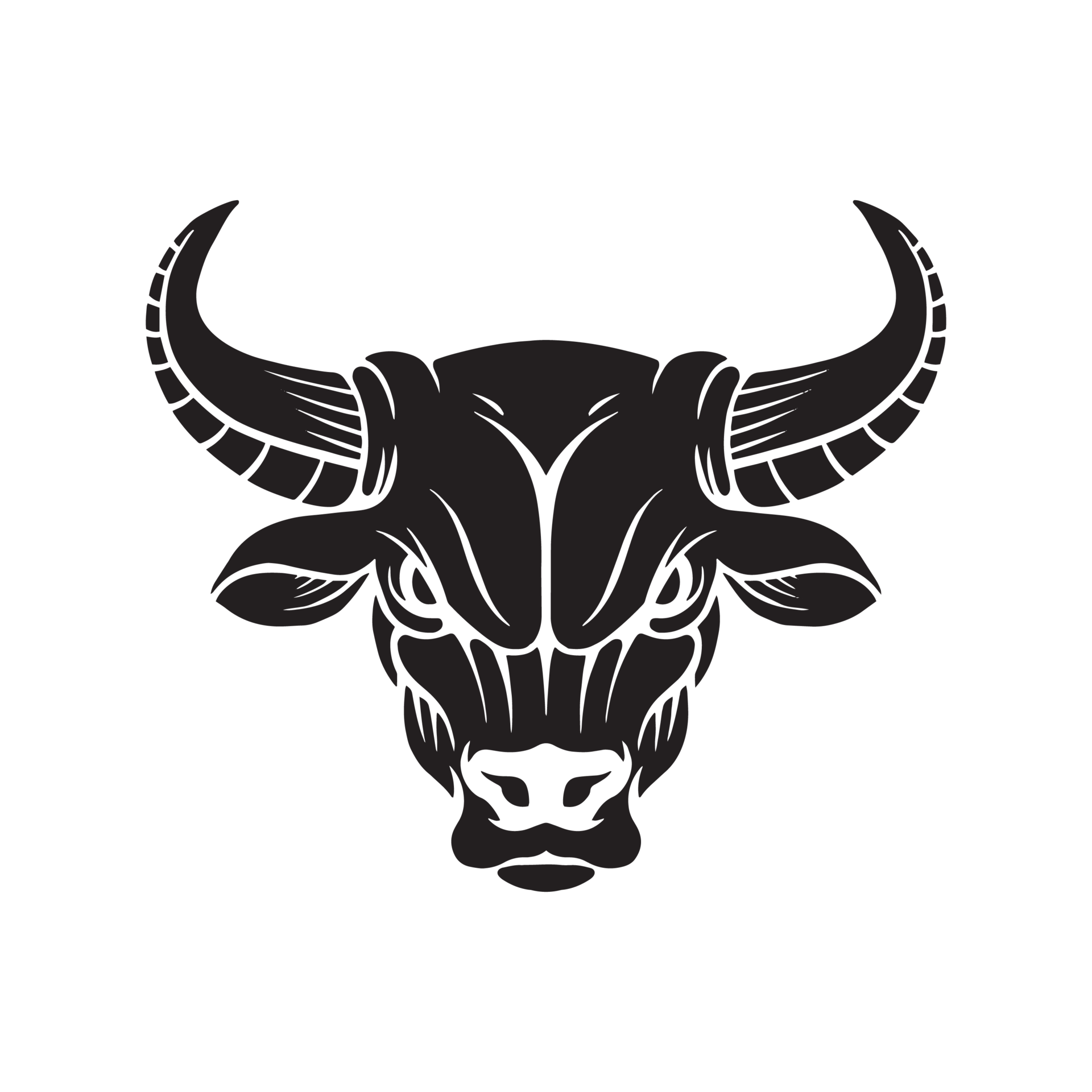 Professional Bull Riders (PBR) Logo, symbol, meaning, history, PNG, brand