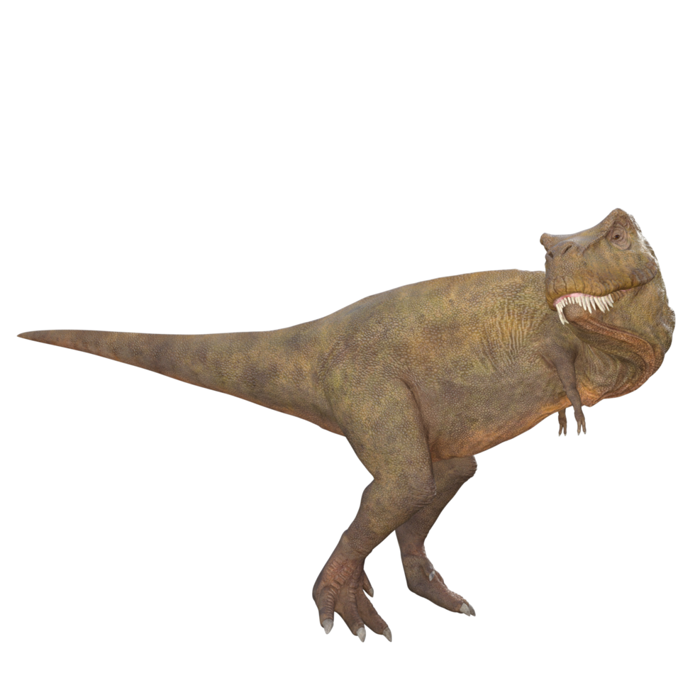 Tyrannosaurus 3D Dinosaur png