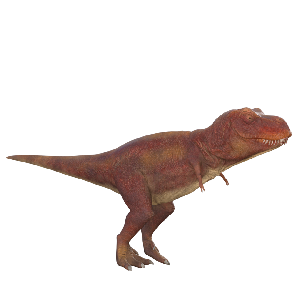 Tyrannosaurus 3D Dinosaur png