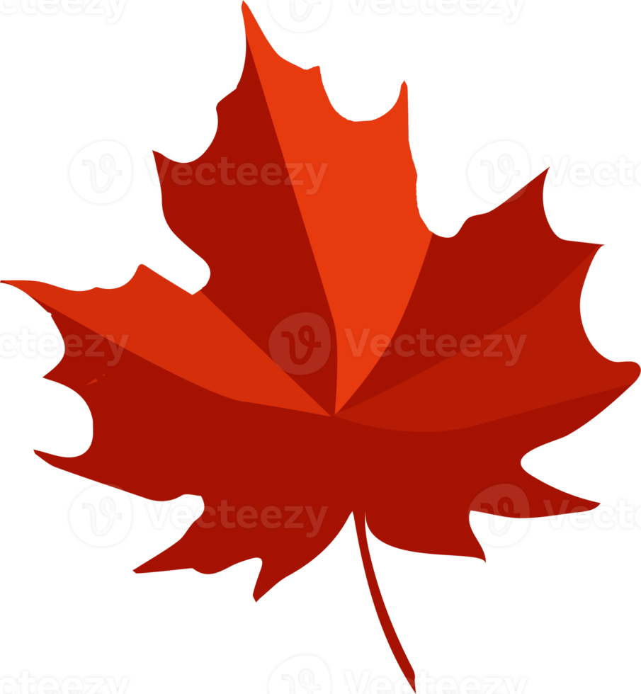 autumn leaves Icon png