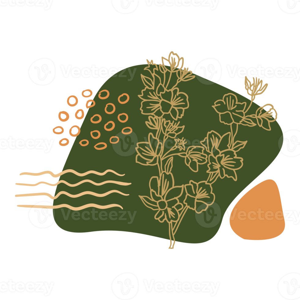 forma estética boho blob e flor de contorno png