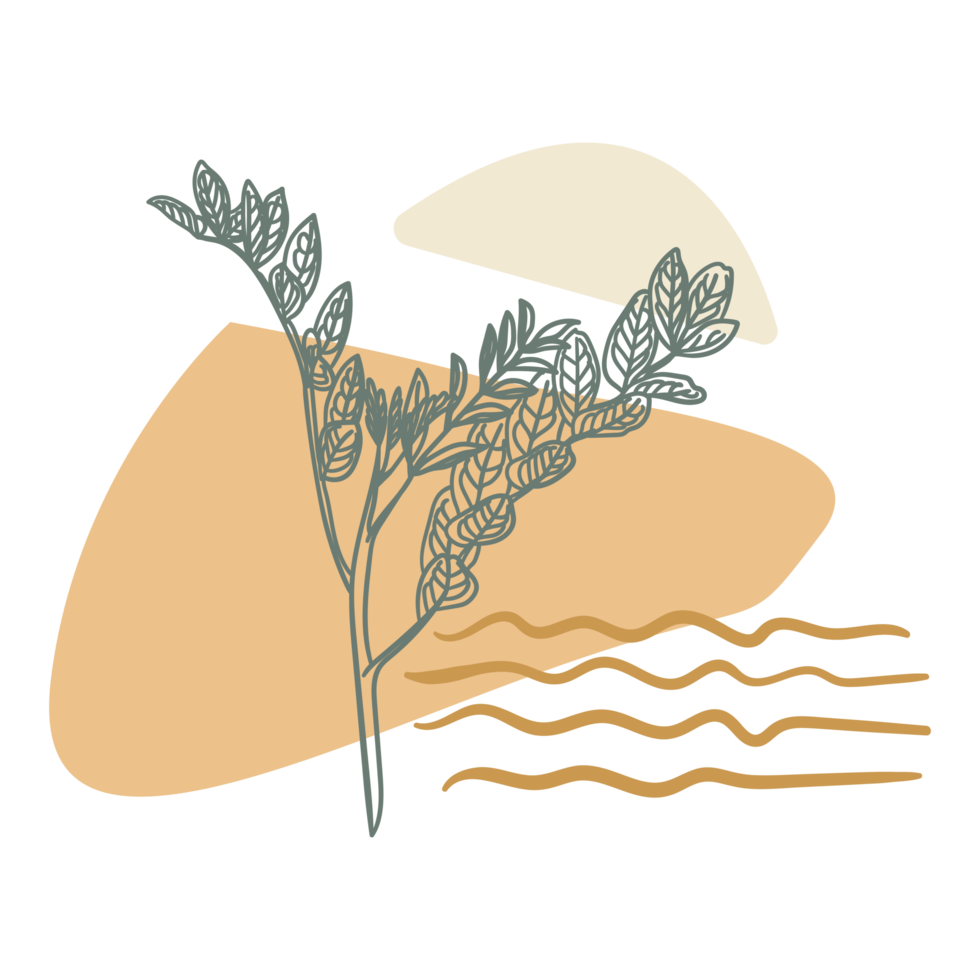 Aesthetic Boho Blob Shape and Outline Flower png