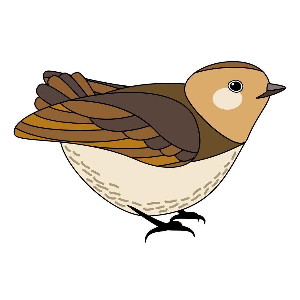 pájaro lindo de línea, estilo de coloración aislado sobre fondo blanco, vector de señal.