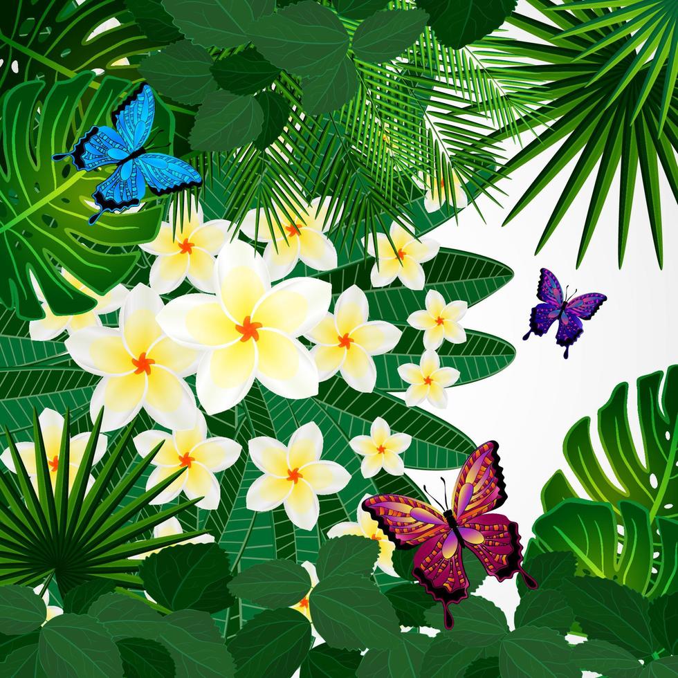 fondo de diseño floral. flores de plumeria, hojas tropicales y mariposas. vector