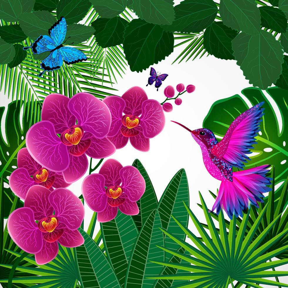 Floral design background. Orchid flowers with bird, butterflies. vector