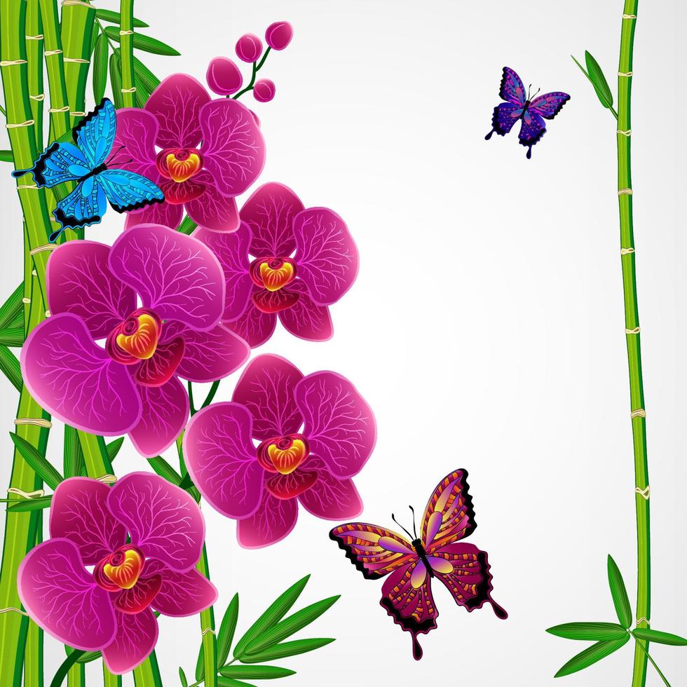 Eps10 Floral design background. Bamboo and orchids with butterflies. vector