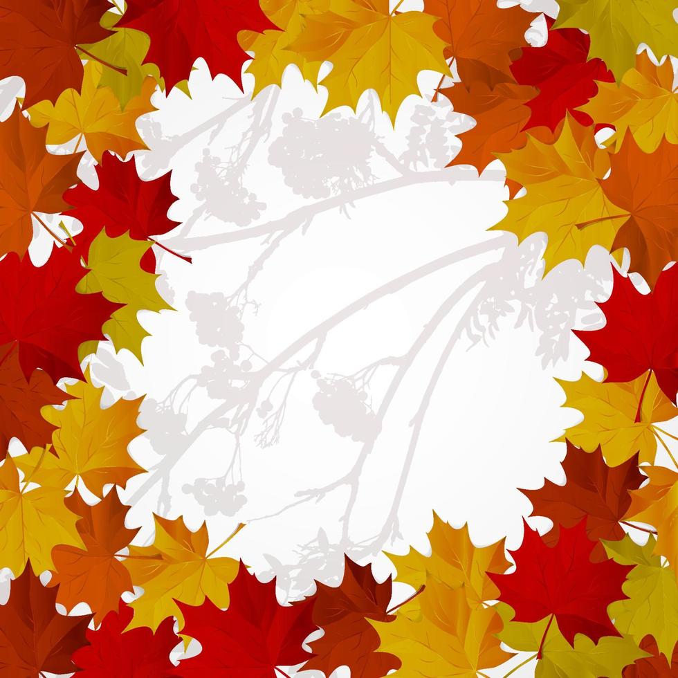 Abstract background with autumn colorful leaves. vector