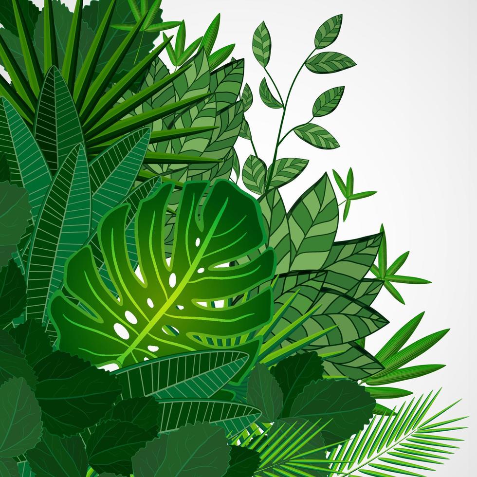 Frame made of leaves on a white background. Jungle tropical floral vector border.