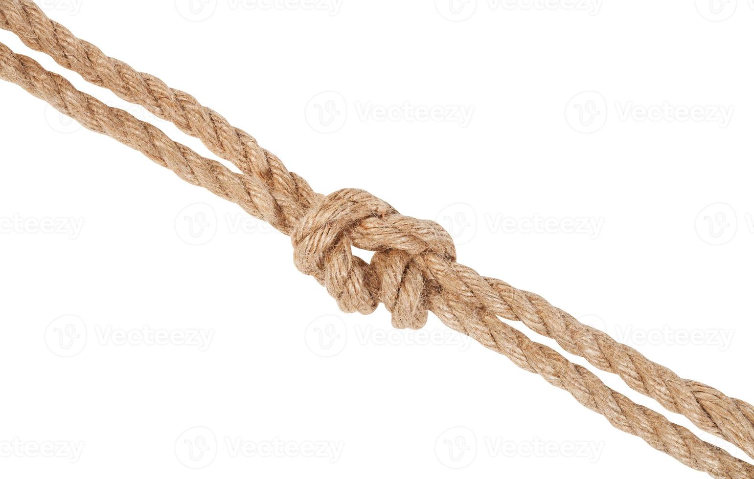 surgeon's knot joining two ropes isolated photo