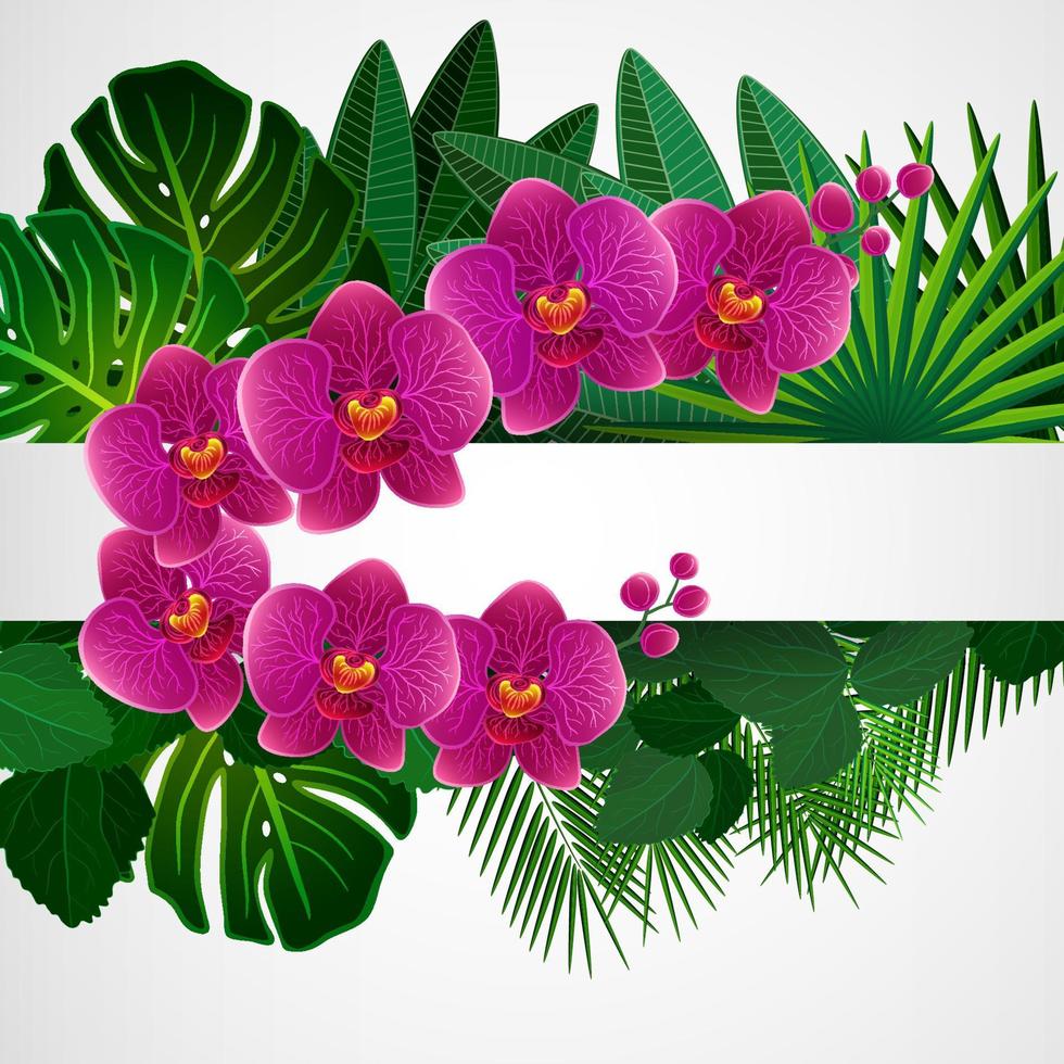 Floral design background. Orchid flowers. vector